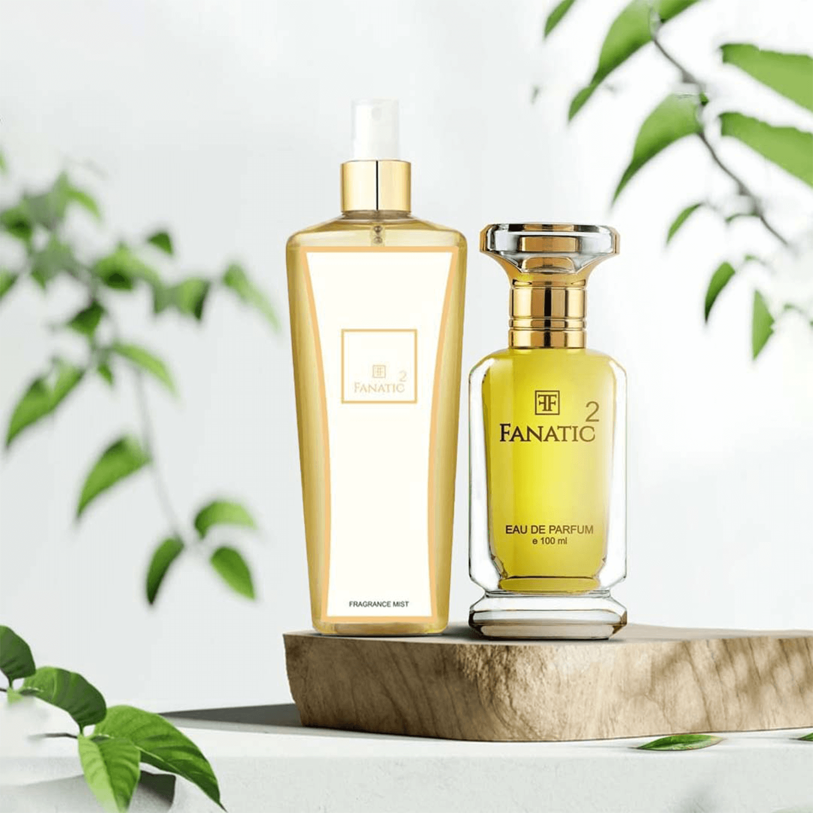 Fanatic 2 100 Ml Perfume & Body Mist Spray 250 Ml